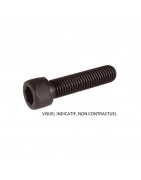 VIS CHC M10x60